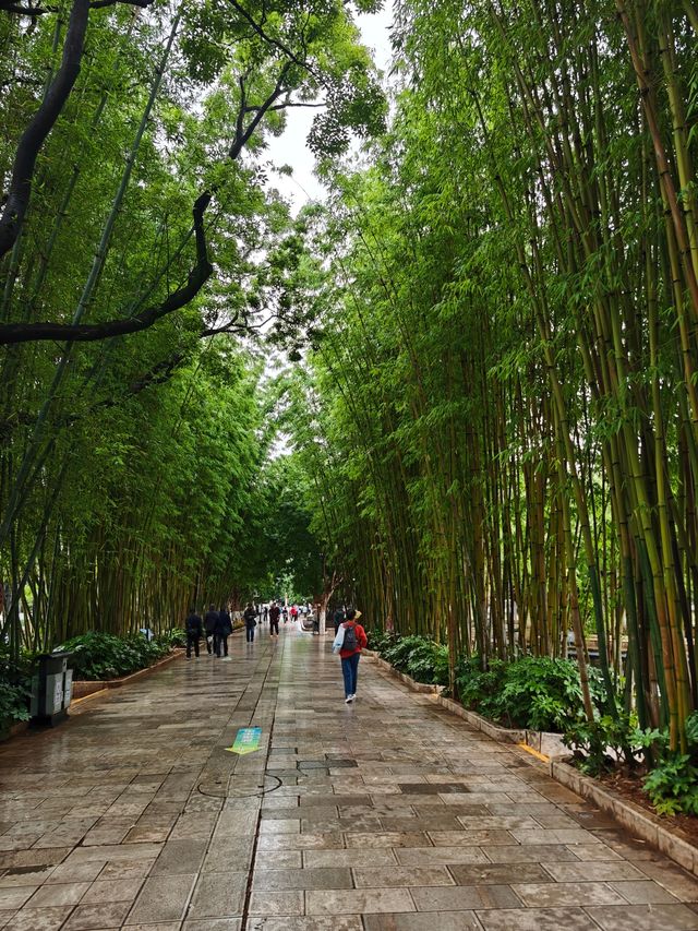 雲南之旅