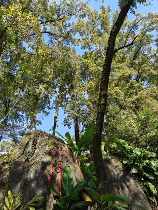 The Only Garden-Style Hotel in Yong'an, Fujian
