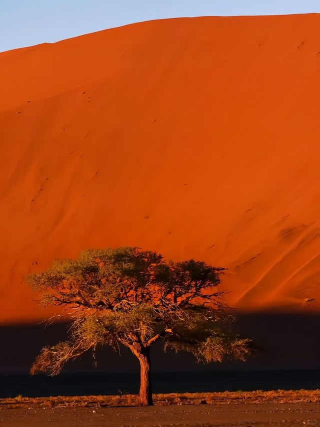 納米比亞：一半沙海，一半星河
