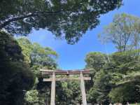 🗼 東京親子旅行｜都市與童趣的完美結合 ✨