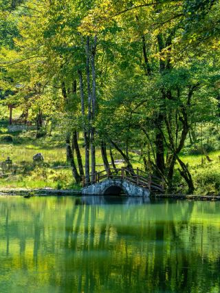 National Day Escape to Erlang Mountain Labah River: A 3-Hour Drive from Chengdu to a Green Wonderland, Sharing Mornings with Wild Sika Deer