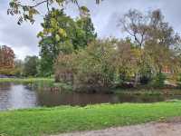 The Beauty of Vondelpark in Amsterdam