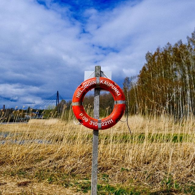 🌾 Lammassaari: A Walk Into Helsinki’s Wild Side