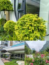 遇山鄉舍｜把「山水下午茶」過成治癒日常