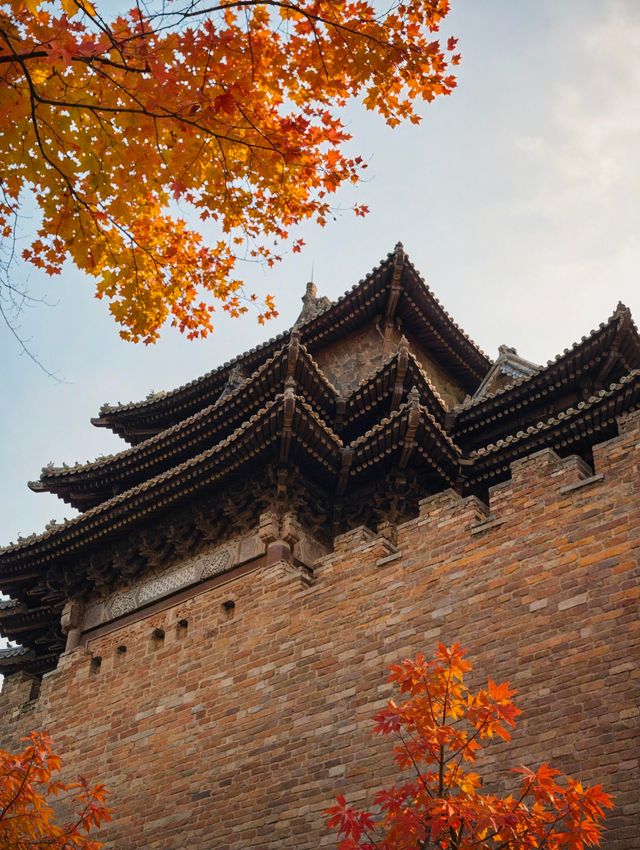 秋日北平漫步指南：從故宮角樓到胡同咖啡，一秒穿越回京華煙雲。