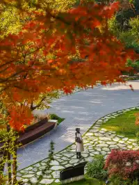 還有1個月｜魔都市區的調色盤公園即將上線