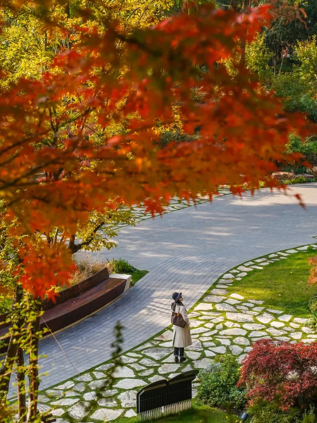 還有1個月｜魔都市區的調色盤公園即將上線