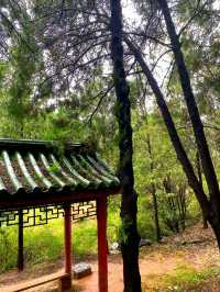 秋日漫遊！澤州丹河龍門濕地