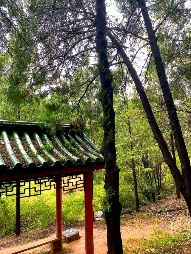 秋日漫遊！澤州丹河龍門濕地