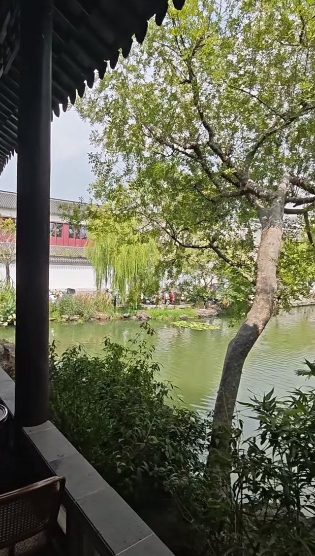 蘇州滄浪亭：藏在千年文脈裡的園林秘境