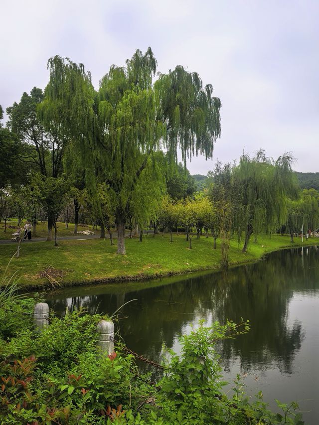 香山垂釣處，一亭寄幽思