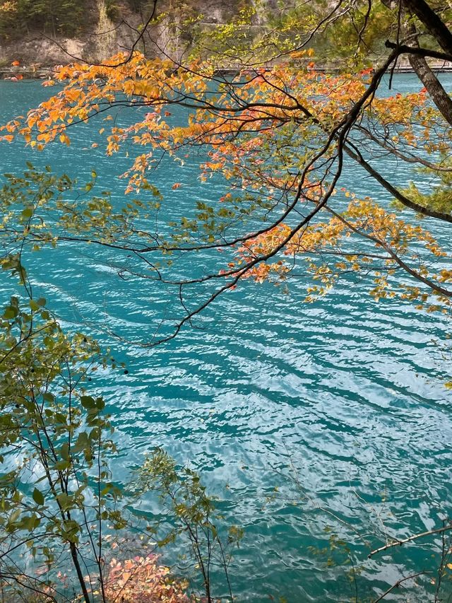 川西已回，給11月去的姐妹避避雷