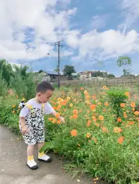 南岸美村，一個很美的小村莊