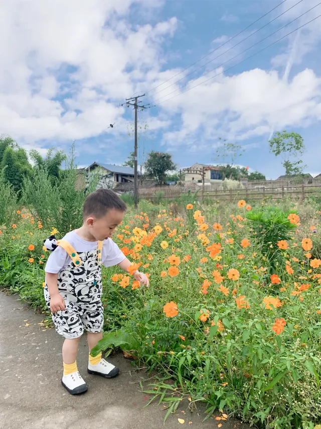 南岸美村，一個很美的小村莊
