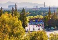 秋天就要逛公園！來雙珠公園看秋色斑斕！