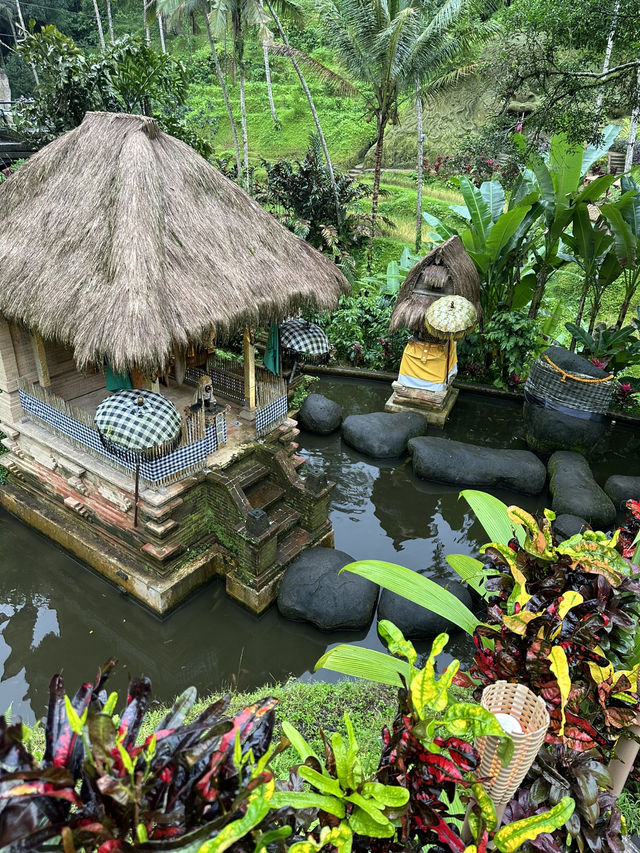 Alas Harum Bali: Царство качелей, террас и облаков! 🌤️ Alas Harum Bali: Царство качелей, террас и облаков! 🌤️