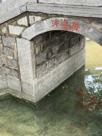 鄭州 / 嵩陽書院