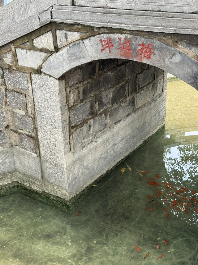 鄭州 / 嵩陽書院