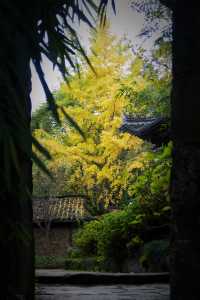 漢中 | 瞿家大院 |好像真的穿越了