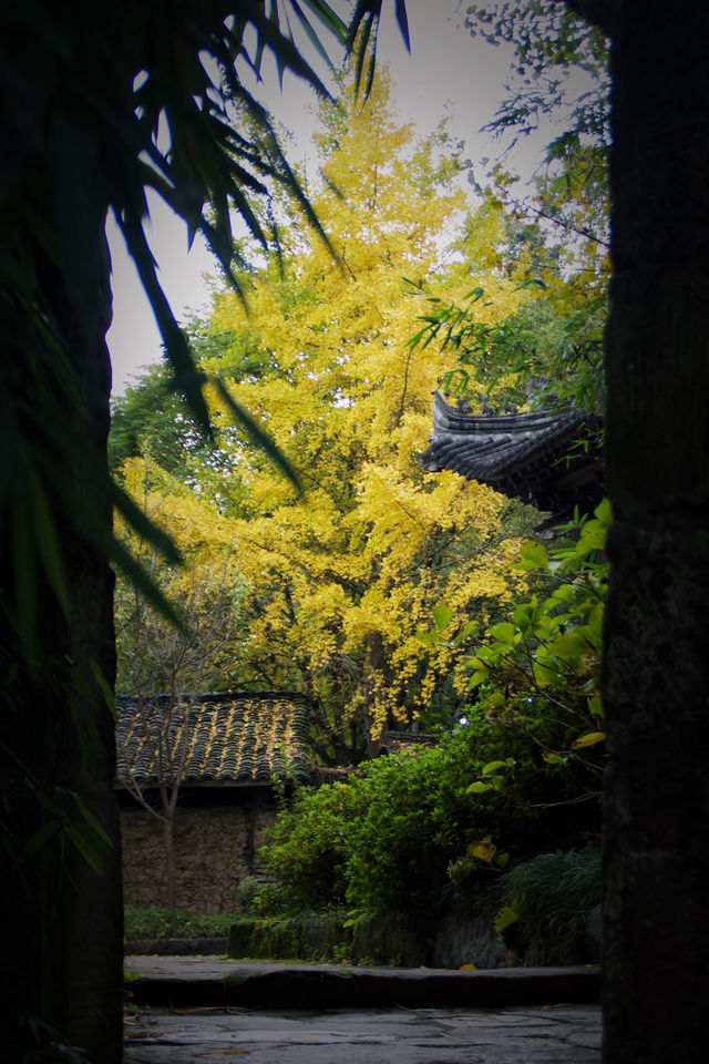 漢中 | 瞿家大院 |好像真的穿越了 漢中 | 瞿家大院 |好像真的穿越了