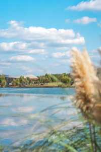 注意!這不是油畫,而是成都的彩色秋天!