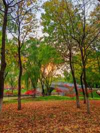 秋日限定西安浐灞濕地公園美翻了免費童話秘境打卡攻略