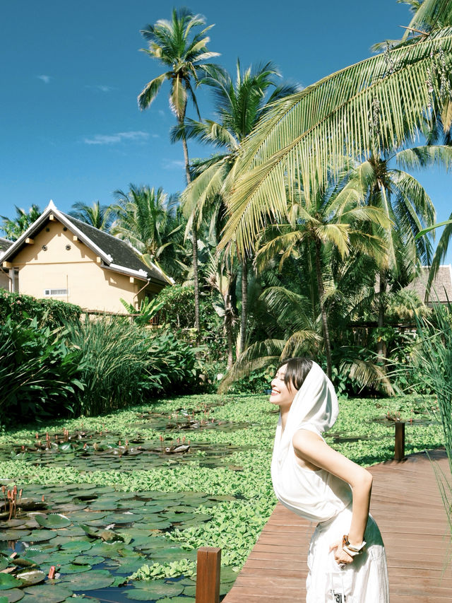 《孤獨星球》沒騙我亞洲旅行真正終極目的地