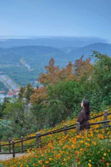山花燦爛正當時,955階登頂江夏龍泉山