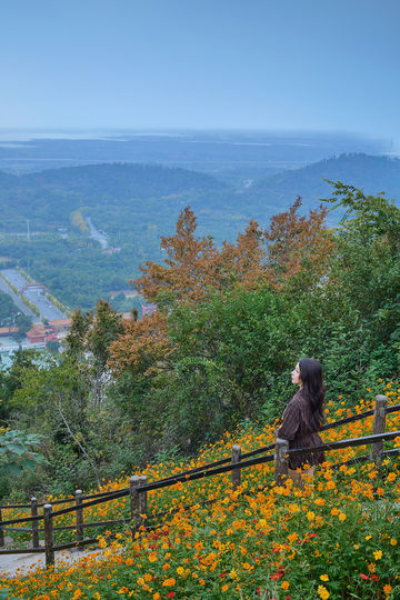 山花燦爛正當時,955階登頂江夏龍泉山 山花燦爛正當時,955階登頂江夏龍泉山