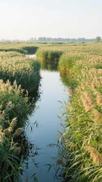 保定       一座總督衙，半部清朝史