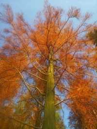 湛江這家酒店太溫馨了