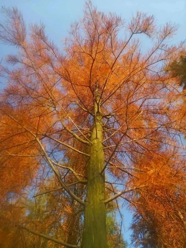 湛江這家酒店太溫馨了 湛江這家酒店太溫馨了