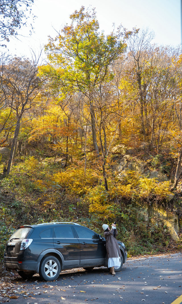 銀杏瀑布、紅葉滿山 鄭州周邊小眾賞秋路線 銀杏瀑布、紅葉滿山 鄭州周邊小眾賞秋路線