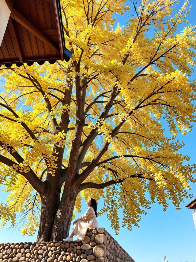 逃離人海！溫州這片隱世山水才是真的絕美