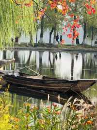 近期來南京的有福啦！