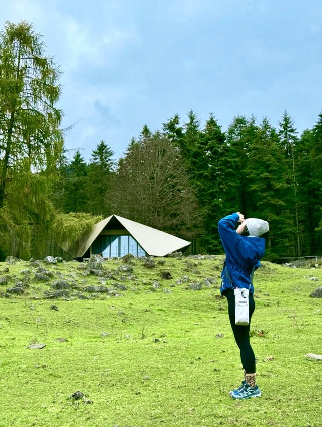 在神仙居住的地方彩林徒步撿菌子🟫 神木壘藏語裡意為「神仙玩耍的地方」 這裡海拔2300-4