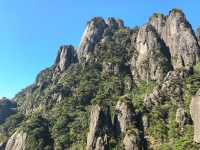 聽我的，不費腿看美景