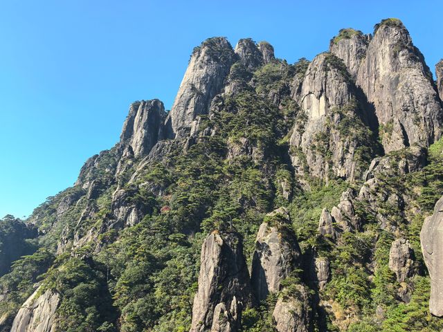 聽我的，不費腿看美景