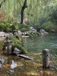 濟南賞秋全攻略,解鎖秋日限定浪漫