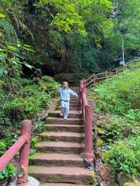 帶娃吸氧去!成都1.5h直達的森林徒步路線