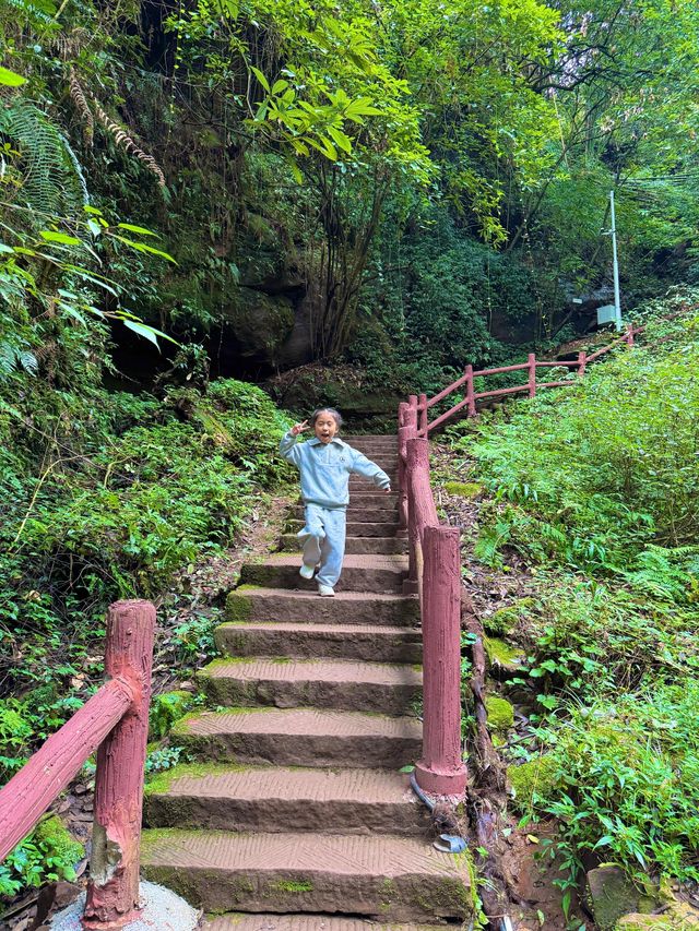 帶娃吸氧去!成都1.5h直達的森林徒步路線