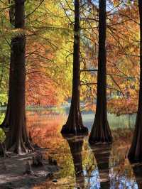 燕雀湖+明孝陵隱藏路線！99%人不知道的絕美秘境