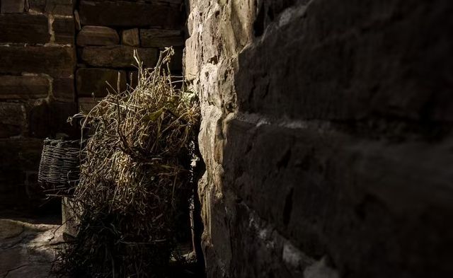 藏在太行山裡的「川西寨子」!600年石頭迷宮村,紅葉+古建 藏在太行山裡的「川西寨子」!600年石頭迷宮村,紅葉+古建