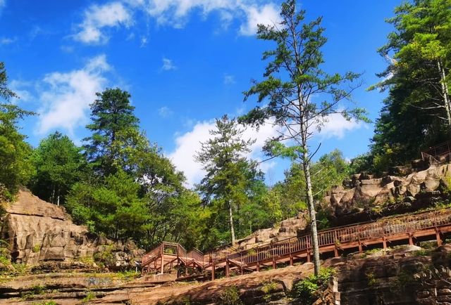天然大氧吧一一黎坪森林公園