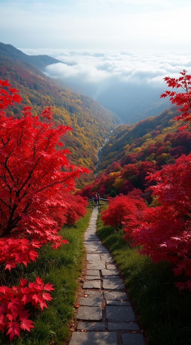 醉美紅葉谷一日遊