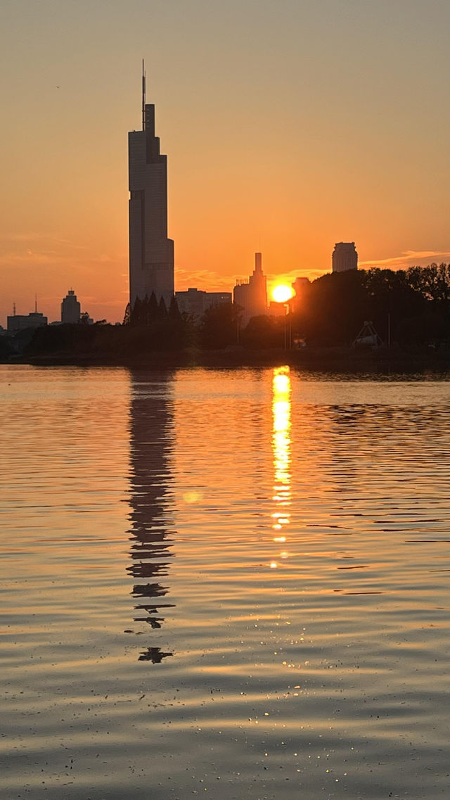 南京秋日City Walk！這幾個地方一定要打卡