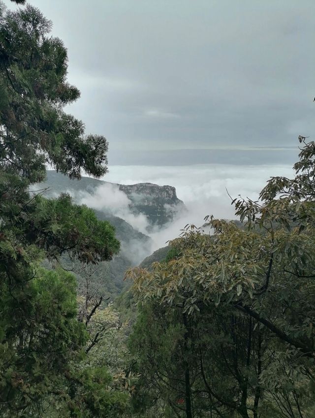 非節假日最佳旅遊地之雲臺山