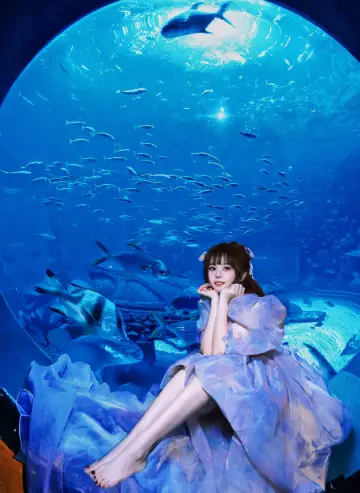 三亞亞特蘭蒂斯水族館攻略 | 潛入夢幻深海世界