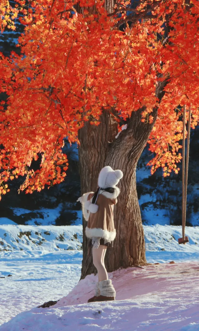 伊犁冬季遊|賽里木湖-庫爾德寧路線參考 伊犁冬季遊|賽里木湖-庫爾德寧路線參考