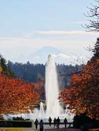 華盛頓大學絕美金秋